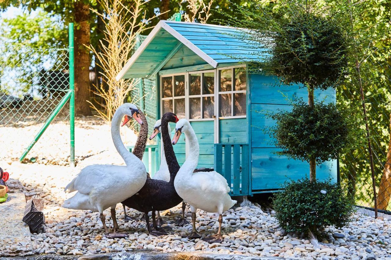 Quinta Do Lordelo Turismo Rural Penafiel Eksteriør bilde